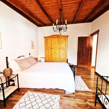 Cozy House Casa Vero Mai Icod De Los Vinos Eksteriør billede