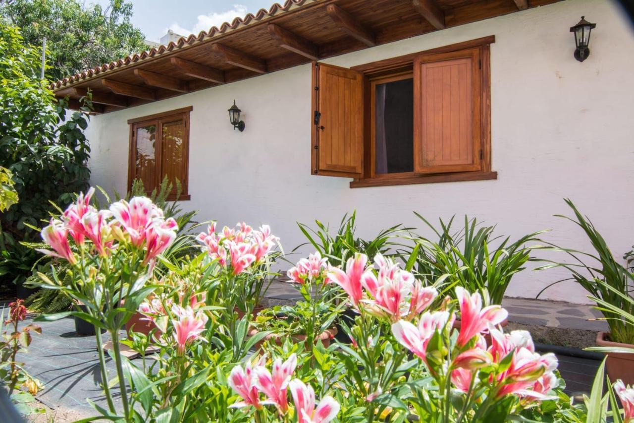 Cozy House Casa Vero Mai Icod De Los Vinos Eksteriør billede