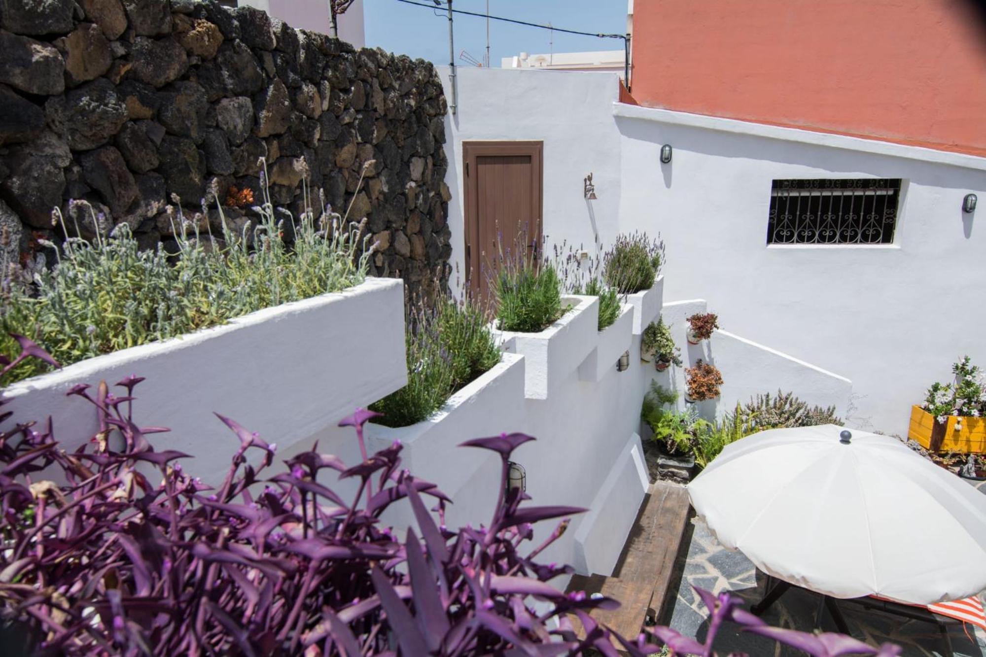 Cozy House Casa Vero Mai Icod De Los Vinos Eksteriør billede